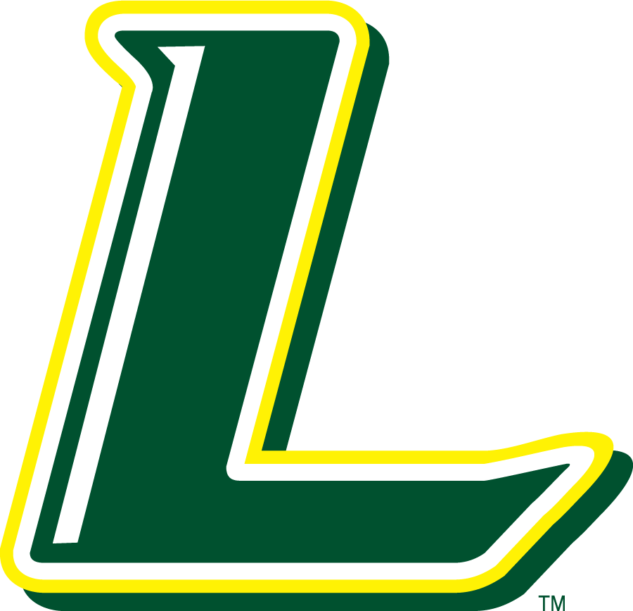 Le Moyne Dolphins 2008-Pres Secondary Logo v2 diy DTF decal sticker